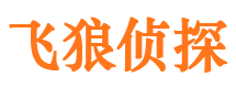 平远市私家侦探